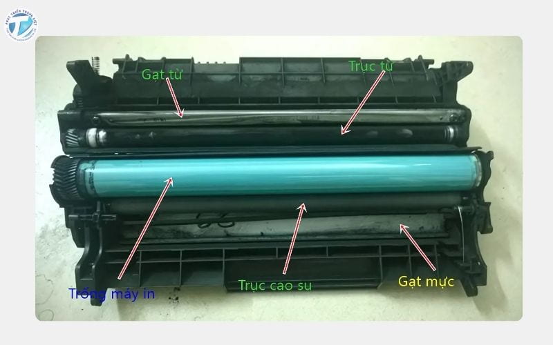 Kiểm tra và thay thế trục từ hoặc gạt mực nếu cần